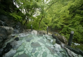 湯西川温泉 彩り湯かしき花と華